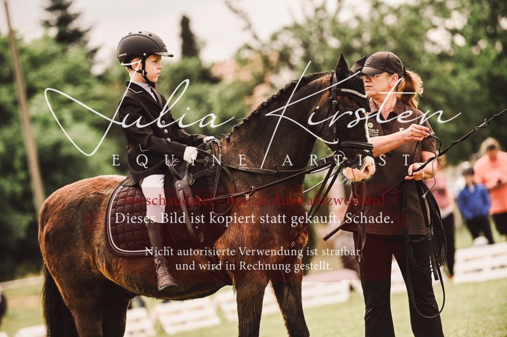 DSC_5357 | Pferde- und Turnierfotografie in Westsachsen. Pferdeportraits, Auftragszeichnungen und intuitive Kunst.