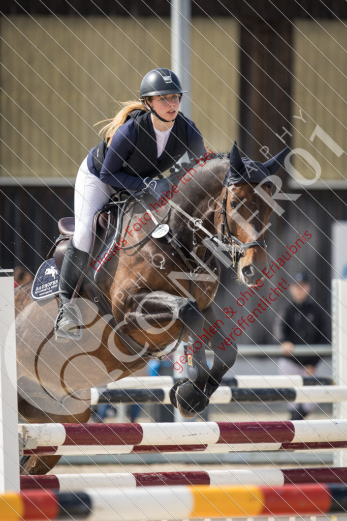 IMG_4344 | Sport-, Event- und Tierfotos in Profiqualität. Einfach auswählen, bestellen und herunterladen. Dein Moment – perfekt festgehalten.