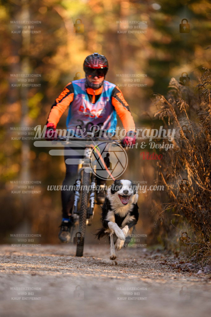 MompixPhotography_DM_AKDM_SO_2025_Bike-162 | PayLife