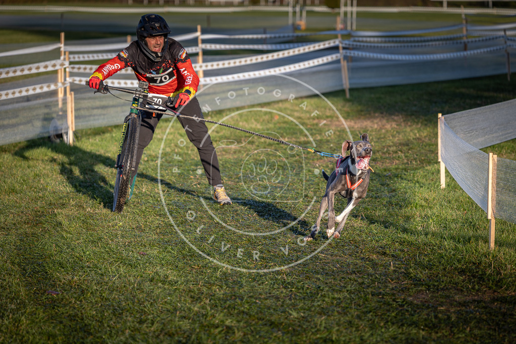 CaniXpix_0L8A3297 | Hundefotografie, Tierfotograf, Pfotenfotografie, Fotoshooting Hund, Hunde Portrait, Hundesport, Hundeportraits, Heideshooting, Hunde, Sportfotograf, Hundefotograf, Turnierhundsport, THS,  - Realisiert mit Pictrs.com