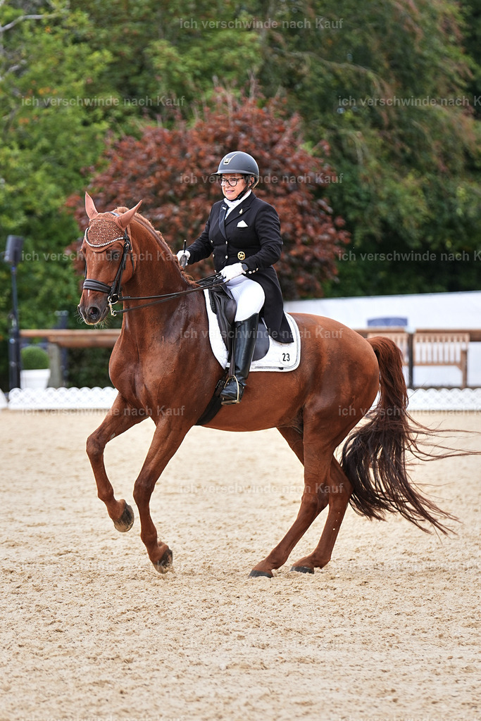 11-023-Dressur S___-Marixx-1685 | working equitationturnier fotograf videograf stoibphotography marixx film working equitation deutschland reitsport turnierfotografie eventfotografie equestrian events