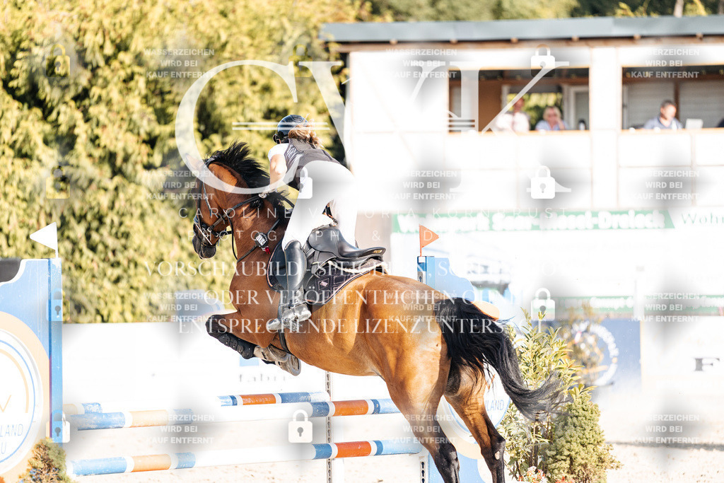 CK909645 | Turnierfotografie Pferdefotografie Trier Rheinland-Pfalz Pferdesport Reitsport Tierfotografie Sportfotografie Pferdevideo Pferdevideografie Equestrianvideography equestrianphotography  - Realisiert mit Pictrs.com