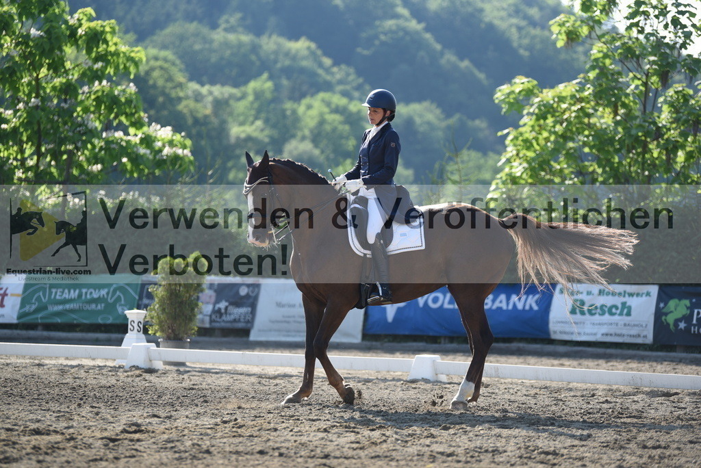 DSC_2964 | equestrian-live-com