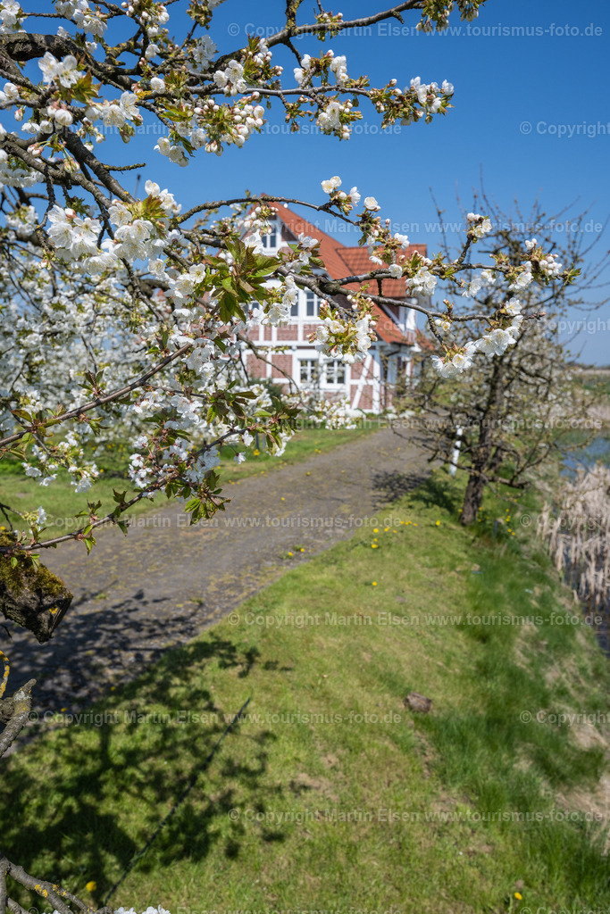 Altes Land Kirschblüte_ELS_0004230423 | Fotos aus den Touristenorten aus Norddeutschland. - Realisiert mit Pictrs.com