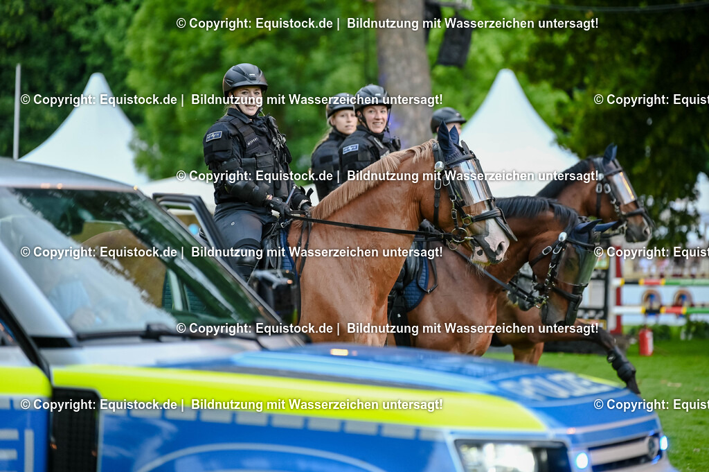 20250606_Lange-Pferdenacht_0705 | Foto: Thomas Hartig