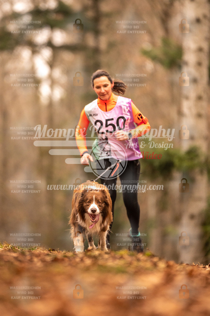 AKM_ST_2023_SAM_Run-136 | PayLife