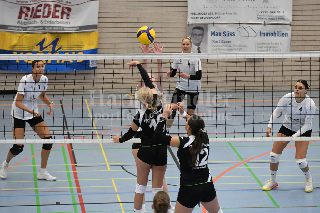 TSV Deggendorf Damen : Wilde Wespen Steinach | TSV Deggendorf Damen : Wilde Wespen Steinach - Realisiert mit Pictrs.com