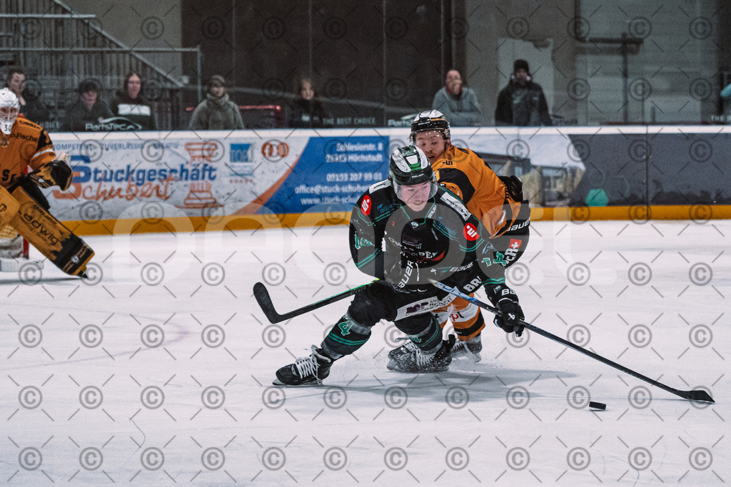 Alligators_vs_Fuessen_01_03_2026_PP-27 | Höchstadt Alligators Fotogalerie: Eishockey-Action aus Franken. Professionelle Spielfotos, Portraits & Stadionbilder zum Download. Jetzt entdecken! - Realisiert mit Pictrs.com