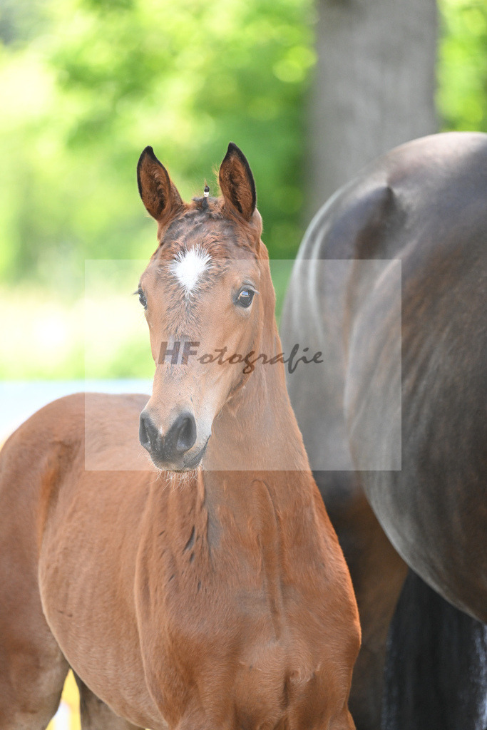 Kat-Nr. 9 SF Zenetti_Kirchmaier_14230216 | hf-fotografie - Realisiert mit Pictrs.com