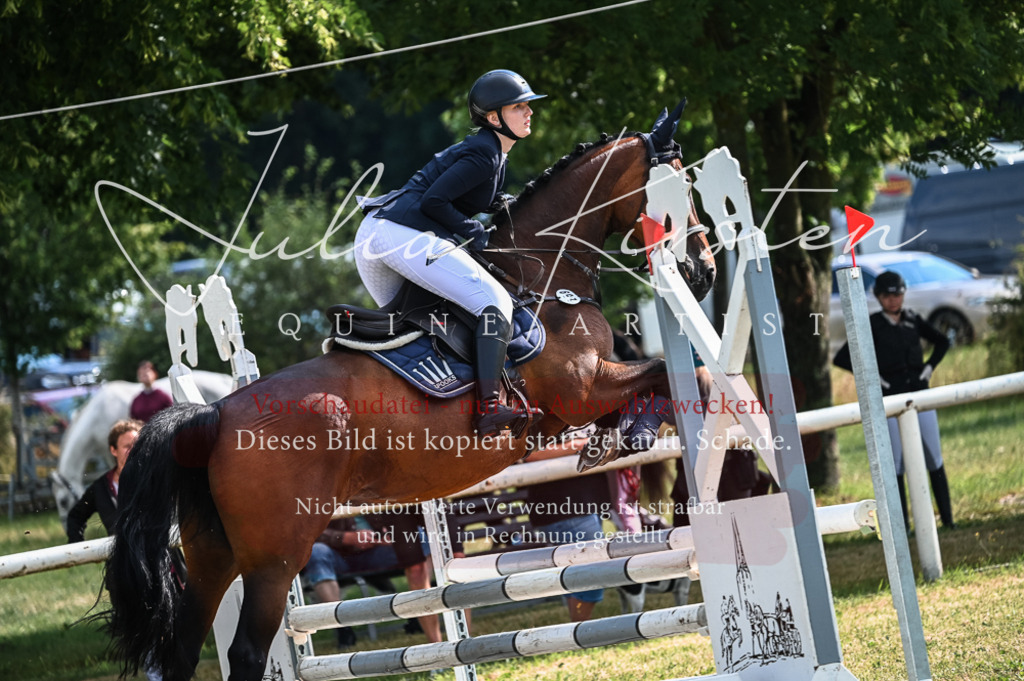 DSC_7856 | Pferde- und Turnierfotografie in Westsachsen. Pferdeportraits, Auftragszeichnungen und intuitive Kunst.