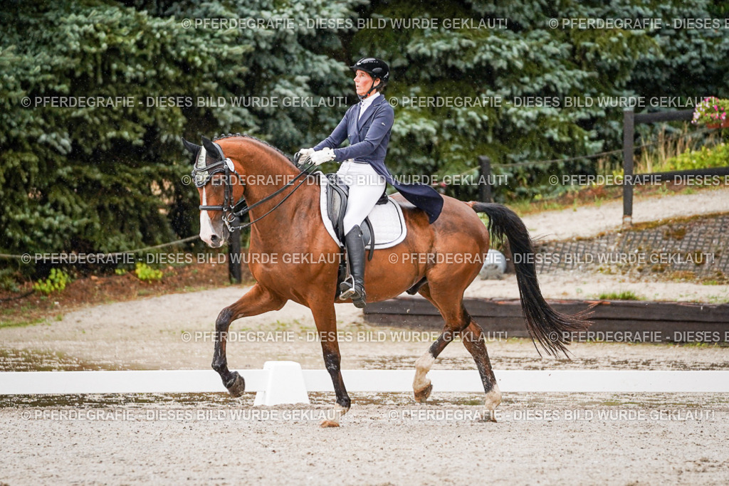 DSC08551 | Pferdegrafie