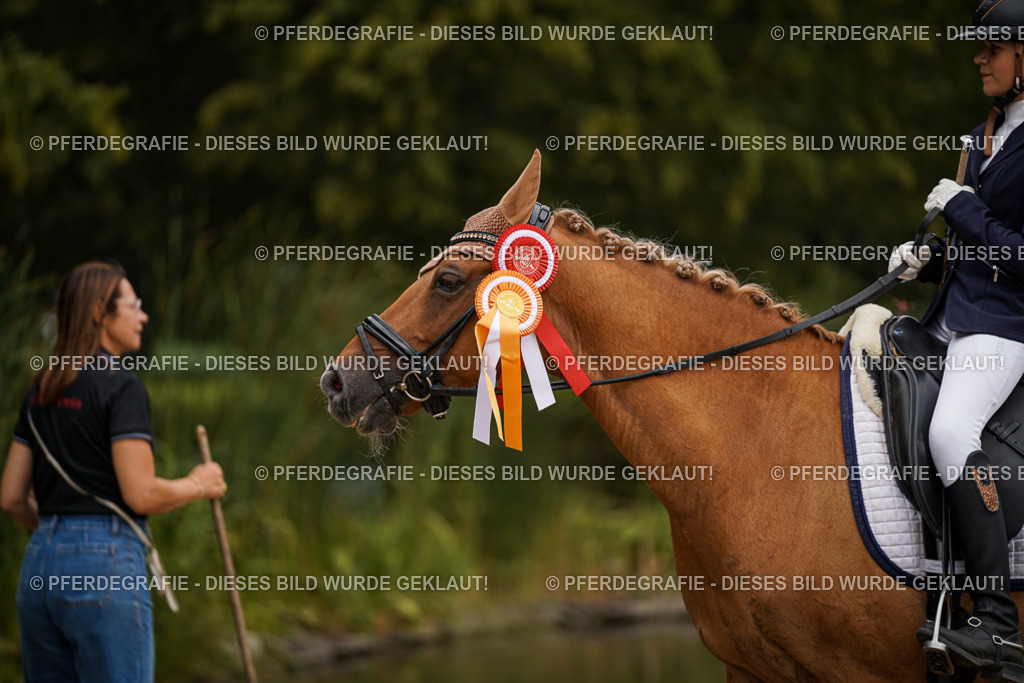 DSC06622 | Pferdegrafie