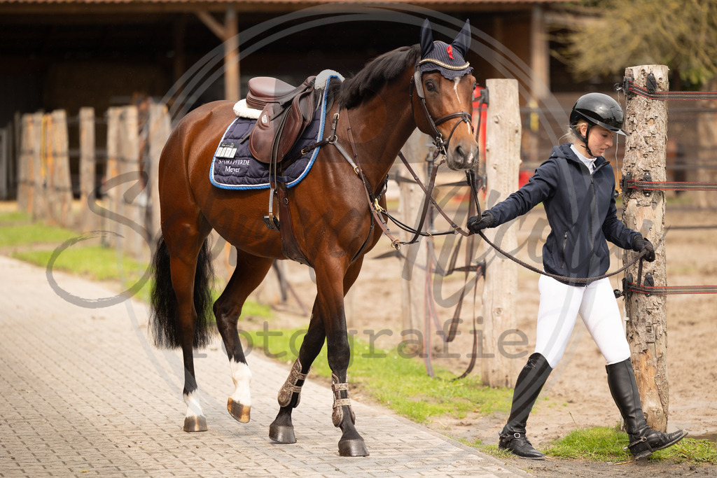 994A0247 | sabrinanicolaifotografie - Realisiert mit Pictrs.com