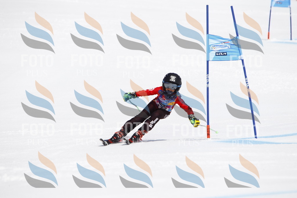 _U3G4653 | holidayphoto