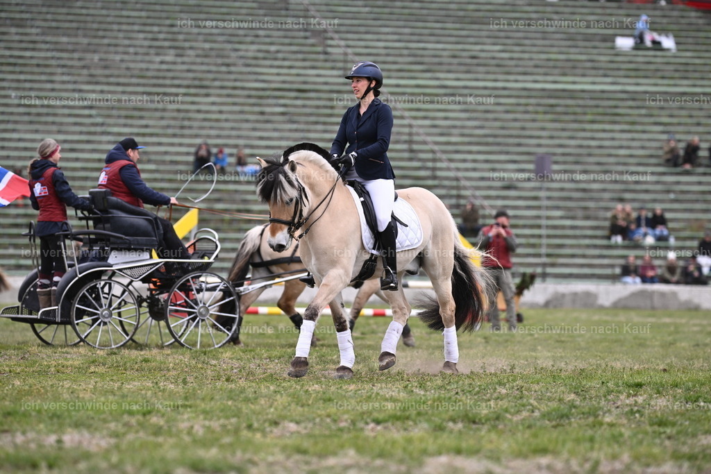 PI26_Show_Sara_Landvogt_226_0824.JPG | working equitationturnier fotograf videograf stoibphotography marixx film working equitation deutschland reitsport turnierfotografie eventfotografie equestrian events
