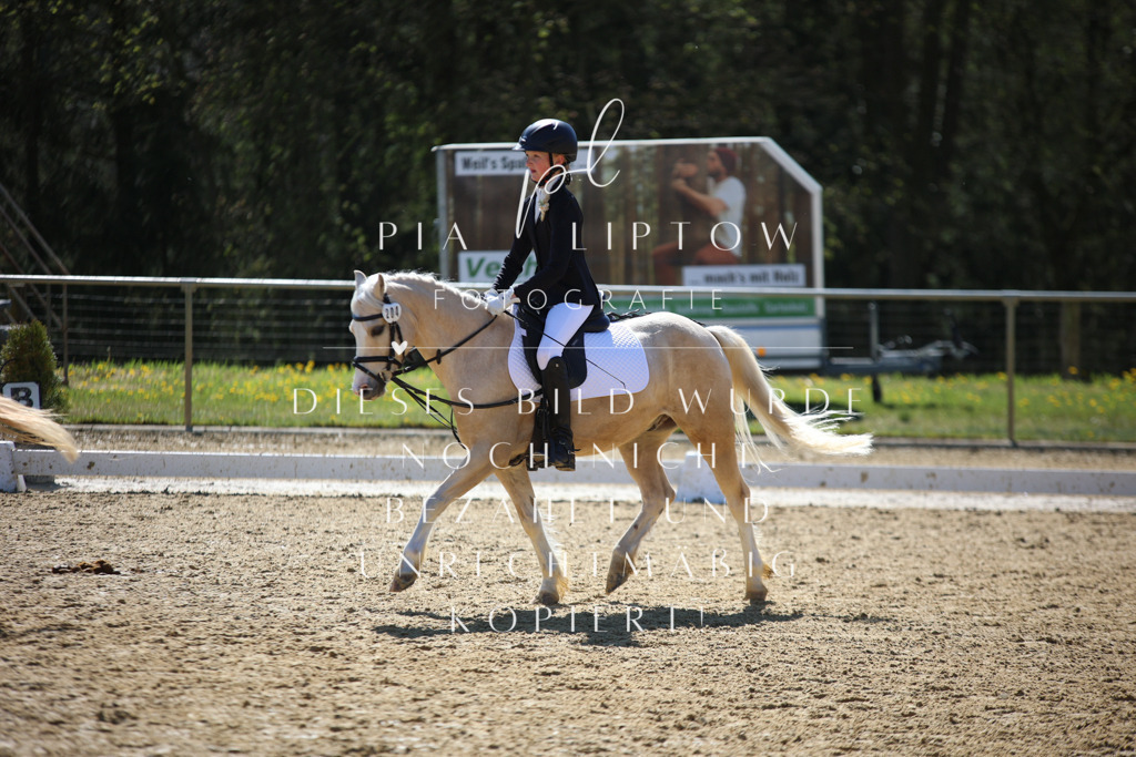 IMGT0588 | pl-fotografie