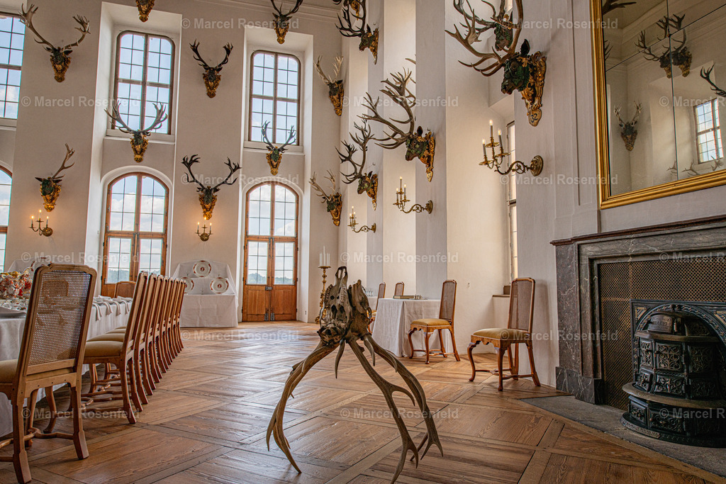 _DSC5480 | foto-rosenfeld