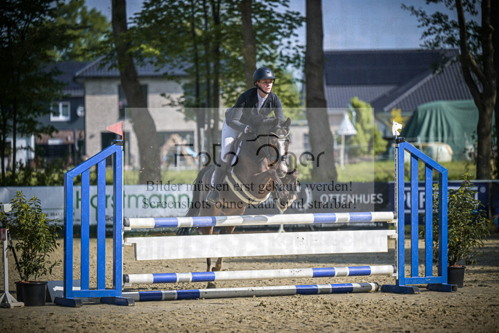 DOS_5653 | Entdecke hochwertige Reitturnierfotos von Foto Oger. Professionell, emotional und authentisch – jetzt Lieblingsmomente im Shop bestellen.Deutschlandweite Turnierfotografie. - Realisiert mit Pictrs.com