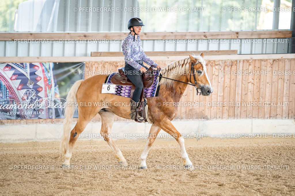 DSC02496 | Pferdegrafie