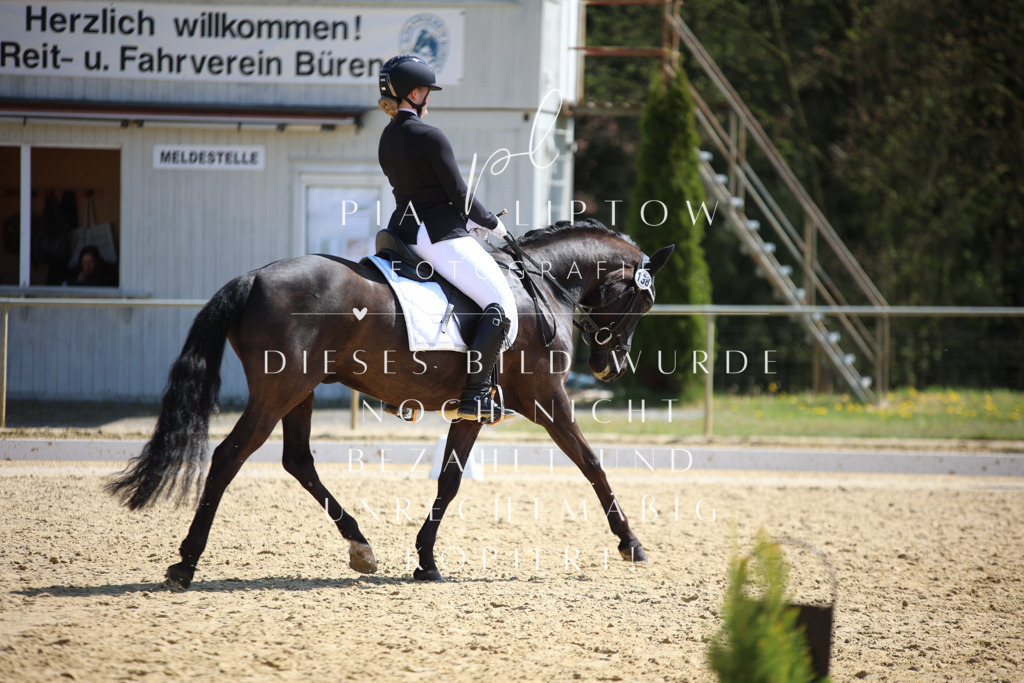 IMGT7253 | pl-fotografie