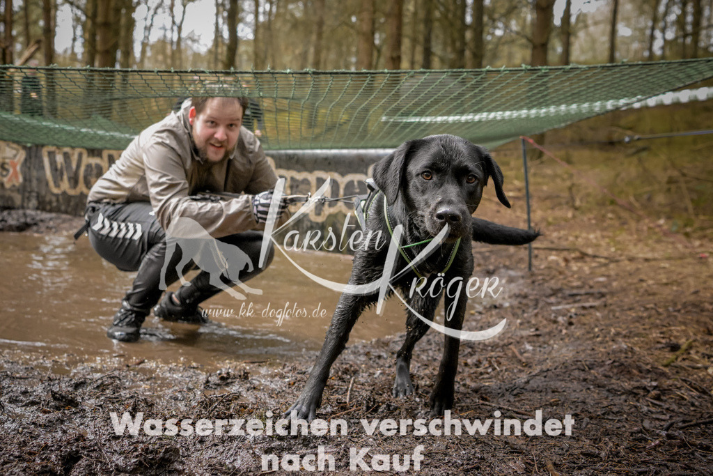 1048_ZZ92031 | kk-dogfotos