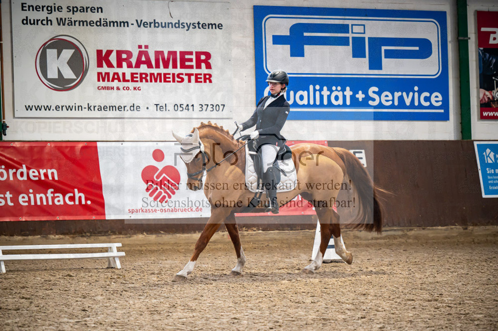 Hallenreittunier Voxtrup 2023 | Entdecke hochwertige Reitturnierfotos von Foto Oger. Professionell, emotional und authentisch – jetzt Lieblingsmomente im Shop bestellen. - Realisiert mit Pictrs.com