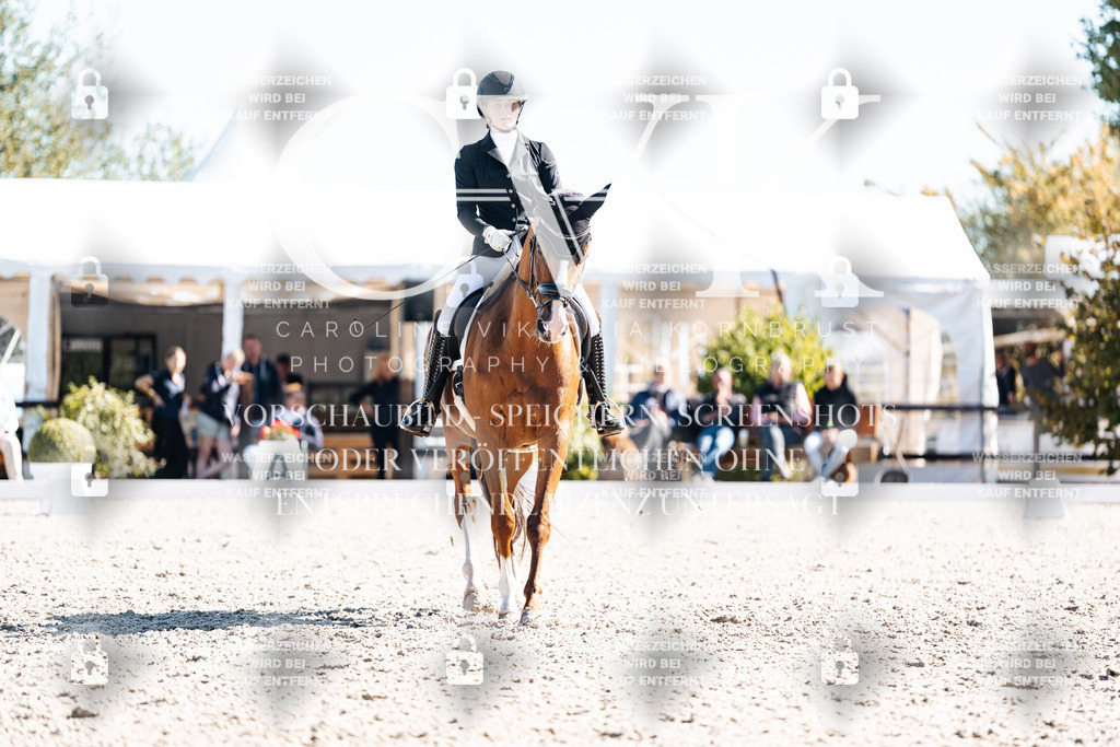 CK909123 | Turnierfotografie Pferdefotografie Trier Rheinland-Pfalz Pferdesport Reitsport Tierfotografie Sportfotografie Pferdevideo Pferdevideografie Equestrianvideography equestrianphotography  - Realisiert mit Pictrs.com