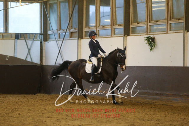 IMG_8101 | Turniersportfotografie; Pferdefotografie; Dressurfotografie