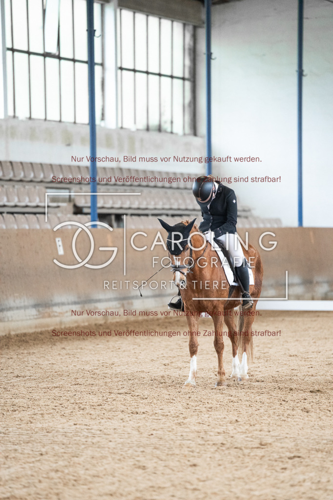DSC01845 | Reitturnier_Göppingen_April_2026, Lorina_Fetzer, Bonita