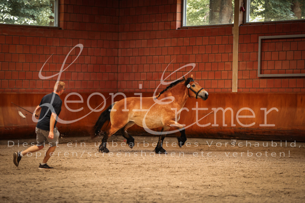 SaFL00110 | Leoni Ertmer Photography - Realisiert mit Pictrs.com