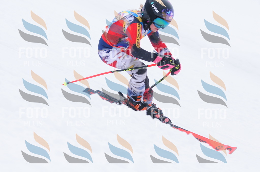 C2573 | holidayphoto