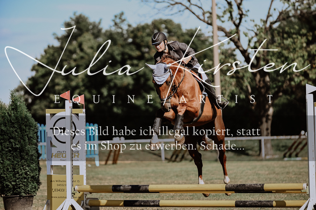 DSC_9293 | Pferde- und Turnierfotografie in Westsachsen. Pferdeportraits, Auftragszeichnungen und intuitive Kunst.