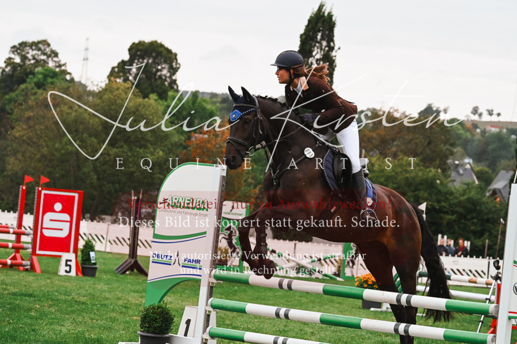 DSC_6587 | Pferde- und Turnierfotografie in Westsachsen. Pferdeportraits, Auftragszeichnungen und intuitive Kunst.