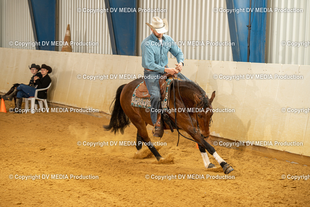 MIT01305 | dv-media-shop - Realisiert mit Pictrs.com