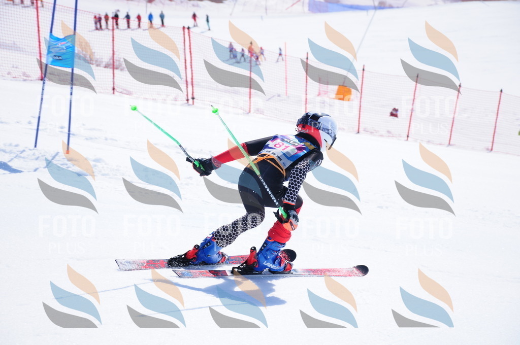 DSC_4530 | holidayphoto