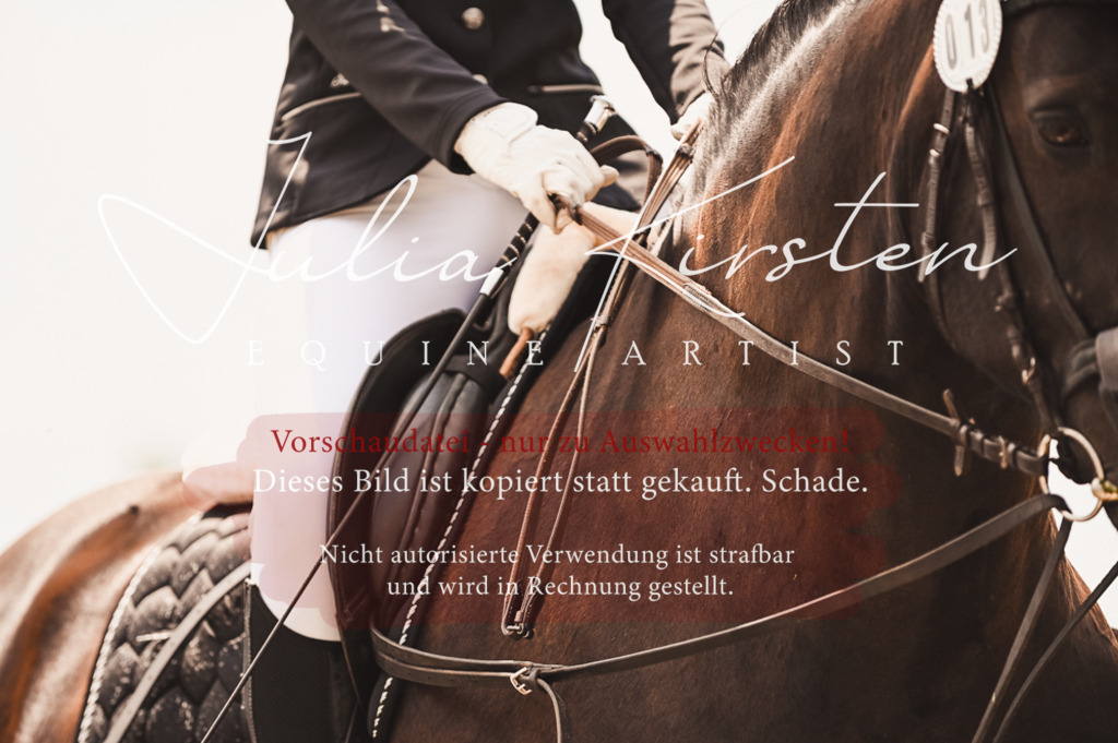 DSC_6213 | Pferde- und Turnierfotografie in Westsachsen. Pferdeportraits, Auftragszeichnungen und intuitive Kunst.