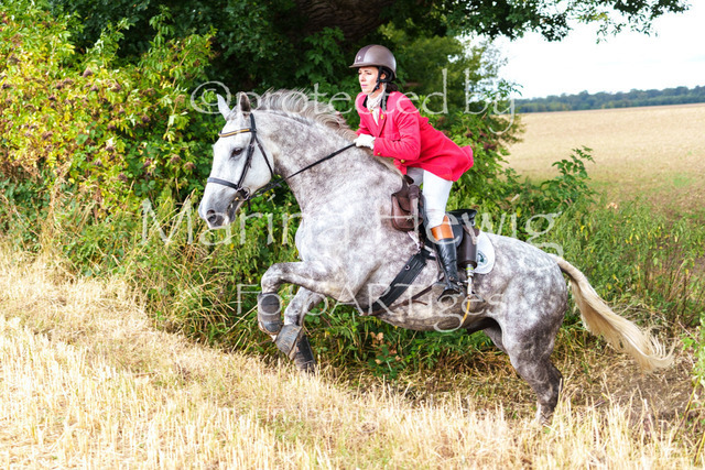 Jagd Knoop 26_MarinaHewigMCH02513 | Fotografie, FotoArt, PferdesportArt, Pferdesportfotografie, Landschaftsfotografie, Reisefotografie, Reise, Pferde - Realisiert mit Pictrs.com