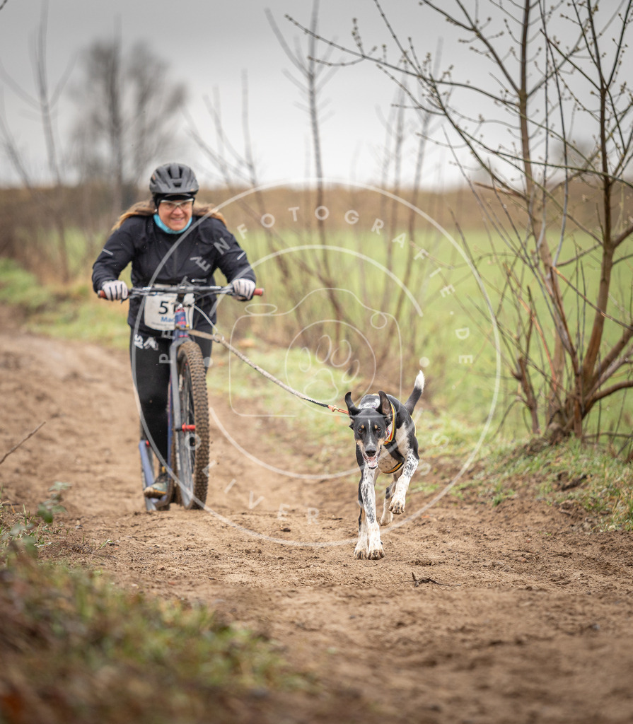DV3A9248 | Hundefotografie, Tierfotograf, Pfotenfotografie, Fotoshooting Hund, Hunde Portrait, Hundesport, Hundeportraits, Heideshooting, Hunde, Sportfotograf, Hundefotograf, Turnierhundsport, THS,  - Realisiert mit Pictrs.com