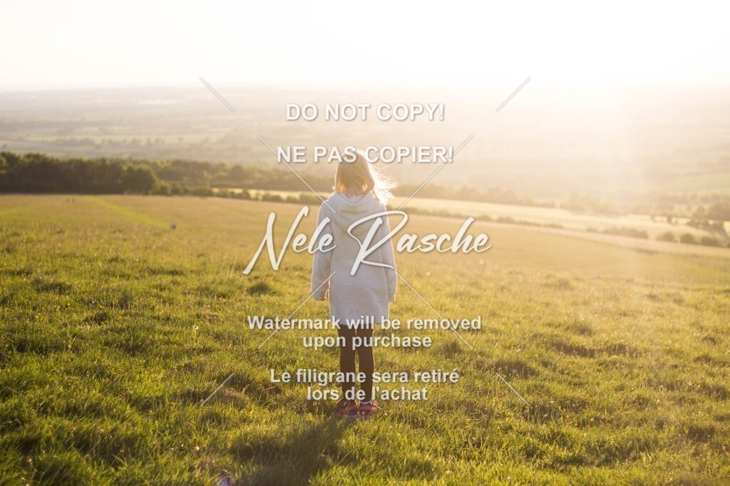 2-13-1025-683 | nelerasche