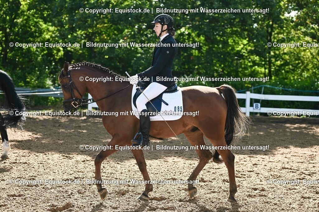 20230716_04_Dressurreiterprüfung Kl.A_0138 | equistock