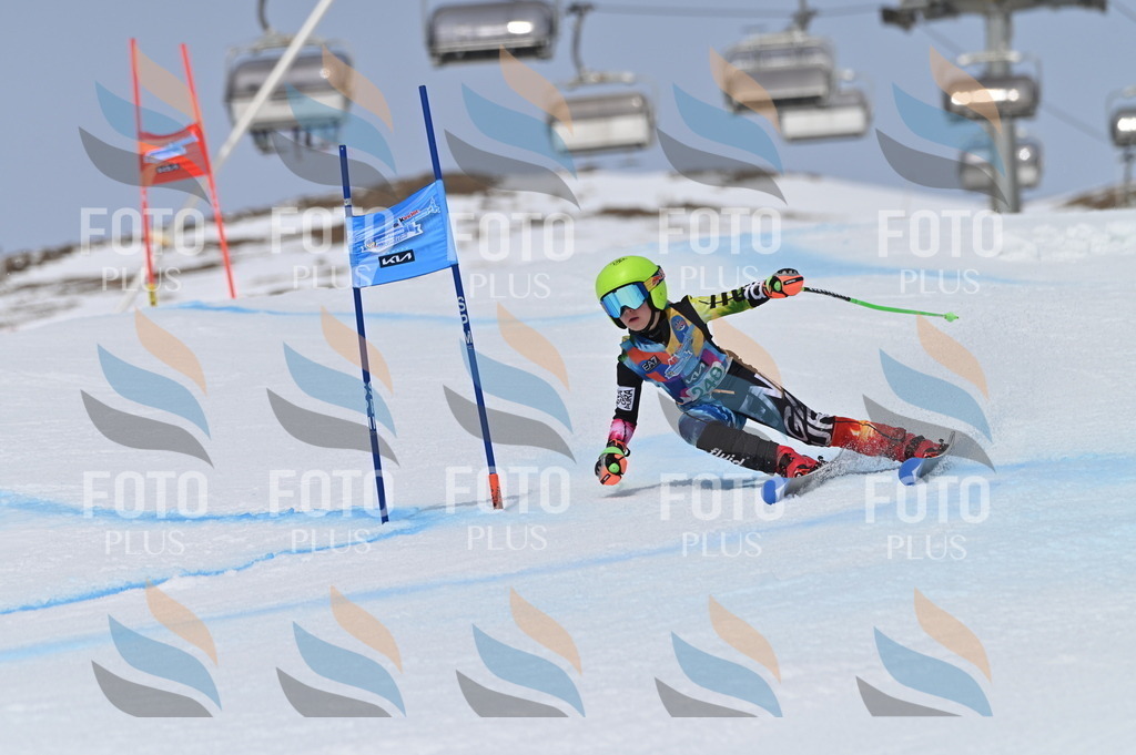 BGV_4913 | holidayphoto