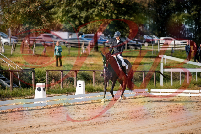 2026_10_03_Siefer-Hof_113247_Z63_19164172 | Professionelle Reitsport-, Turnier- und Eventfotografie von Robert Broda. Galerien mit ausgewählten und bearbeiteten Bildern direkt online ansehen und bestellen.