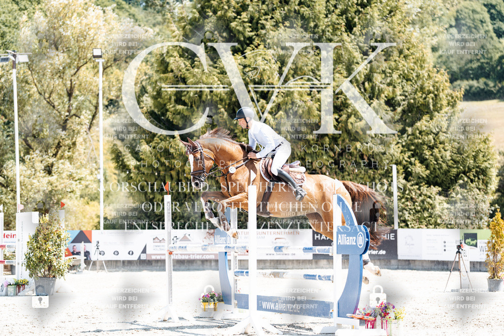 CK900202 | Turnierfotografie Pferdefotografie Trier Rheinland-Pfalz Pferdesport Reitsport Tierfotografie Sportfotografie Pferdevideo Pferdevideografie Equestrianvideography equestrianphotography  - Realisiert mit Pictrs.com