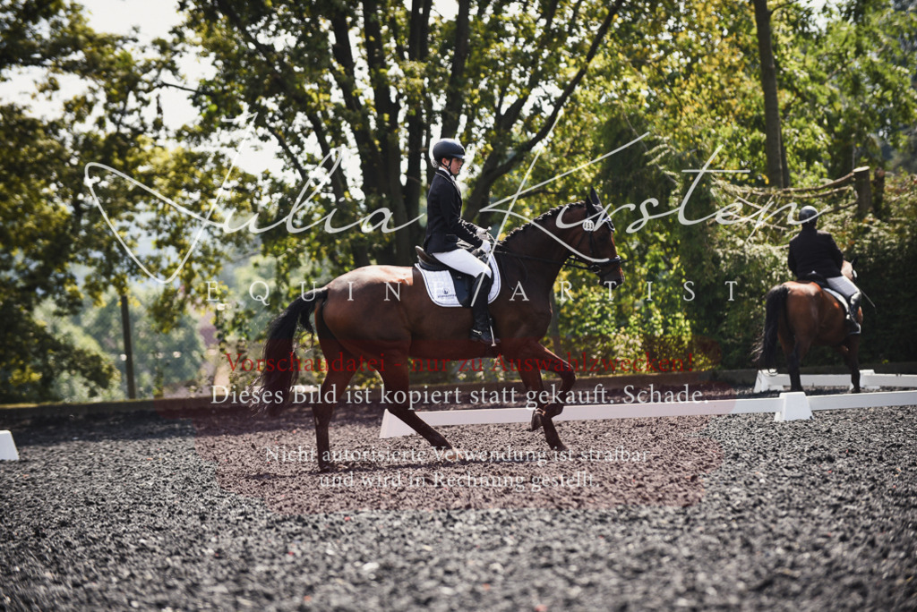 DSC_4140 | Pferde- und Turnierfotografie in Westsachsen. Pferdeportraits, Auftragszeichnungen und intuitive Kunst.