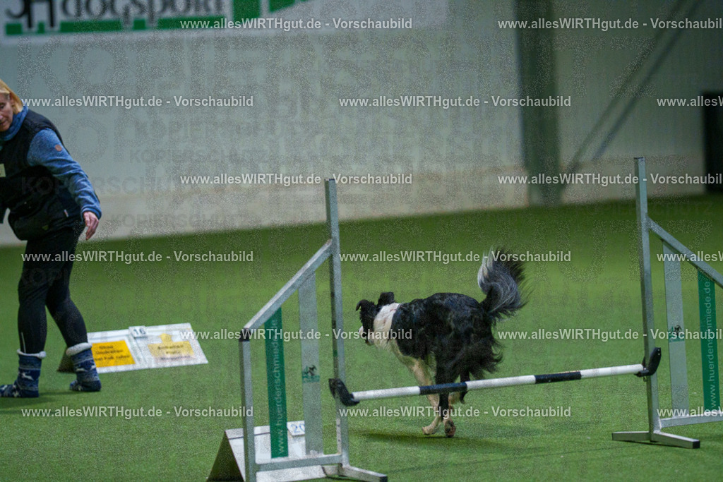 7R501037 | Professionelle Tierfotografie in Mönchengladbach von Daniel Wirth (allesWIRTHgut). Liebevolle & natürliche Bilder von Hunden & Katzen für unvergessliche Erinnerungen.