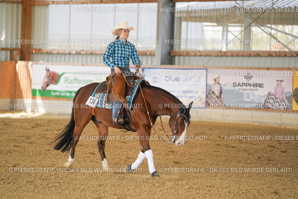 DSC02752 | Pferdegrafie