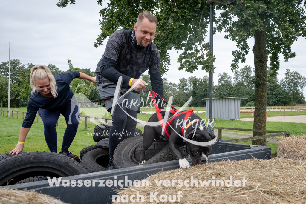 1225_ZZ90623 | kk-dogfotos