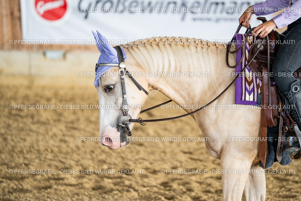 DSC07696 | Pferdegrafie