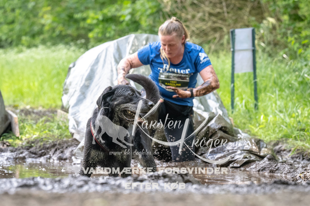 1245_ZZ93355 | kk-dogfotos