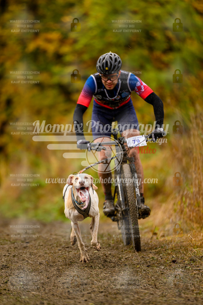 MompixPhotography_ICF_WC_2024_SA_Bike_-11 | PayLife